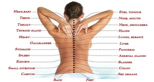 durere în apropierea coloanei vertebrale din dreapta cum scapi de durerile reumatice