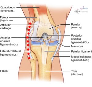de ce articulatiile ranesc tratamentul recomandări pentru artroza genunchiului