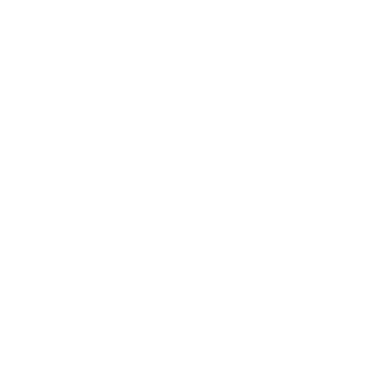 brainfit multi logo
